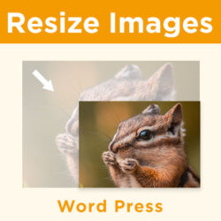 wordpressで、リサイズされる画像の自動生成を停止する方法