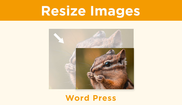 resize wordpress images