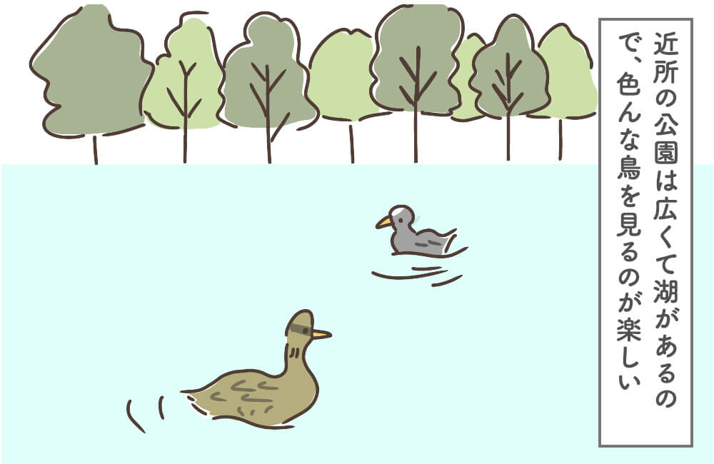 イギリス四コマ漫画 :﻿近所の公園で野鳥観察をする