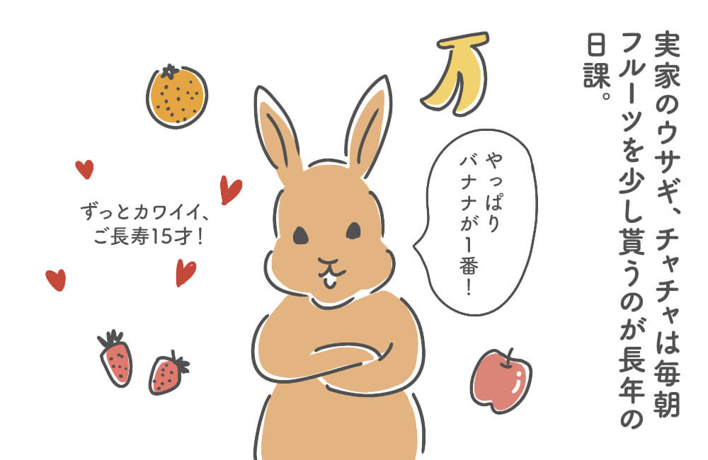 イギリス四コマ漫画 :うちのご長寿ウサギの食事のこと